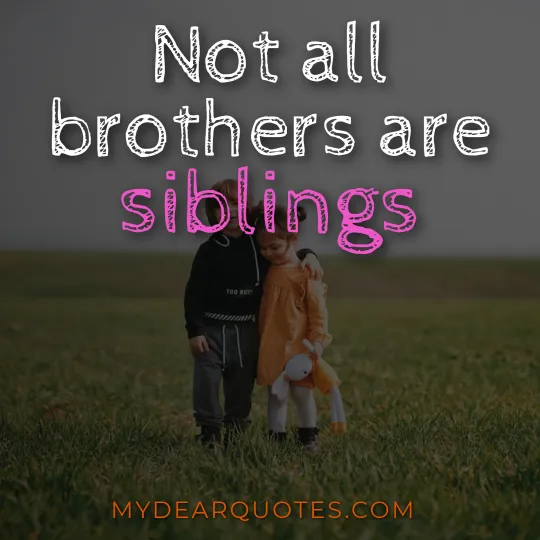 Not all brothers are siblings