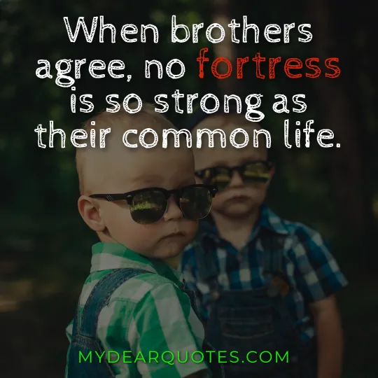 brother from another mother hindi quotes
