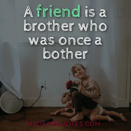 A friend is a brother who was once a bother