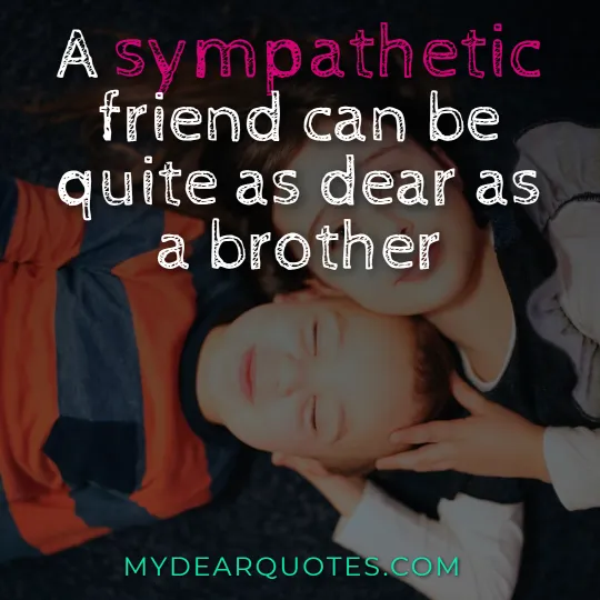 A sympathetic friend can be quite as dear as a brother