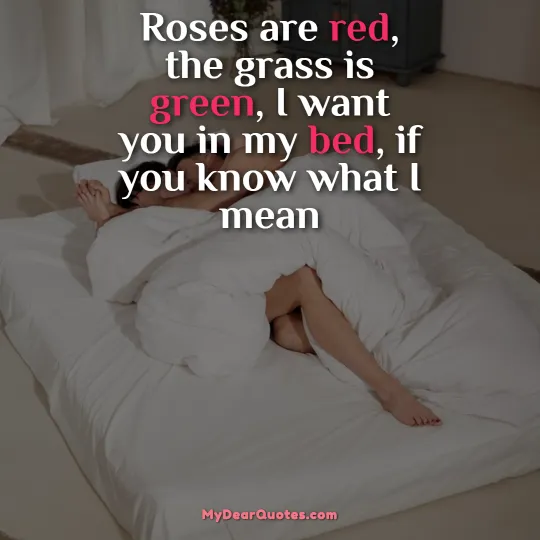 Roses are red, the grass is green, I want you in my bed, if you know what I mean